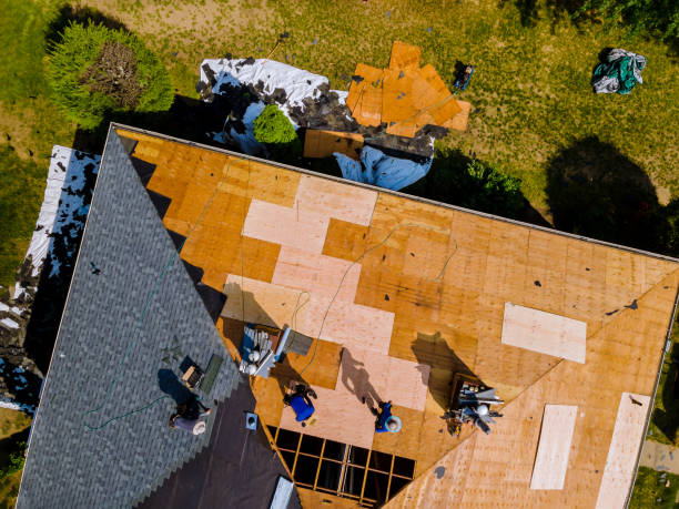 Best Storm Damage Roof Repair  in Picayune, MS