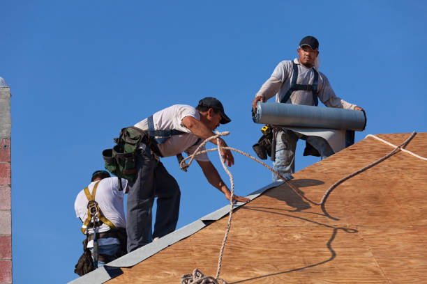 Best Gutter Installation and Roofing  in Picayune, MS